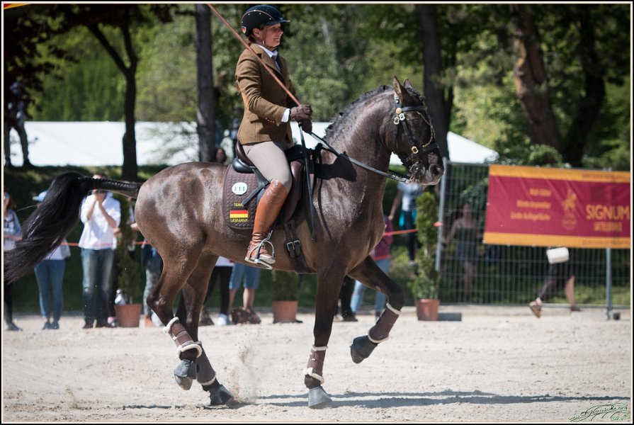 Pferd International 192